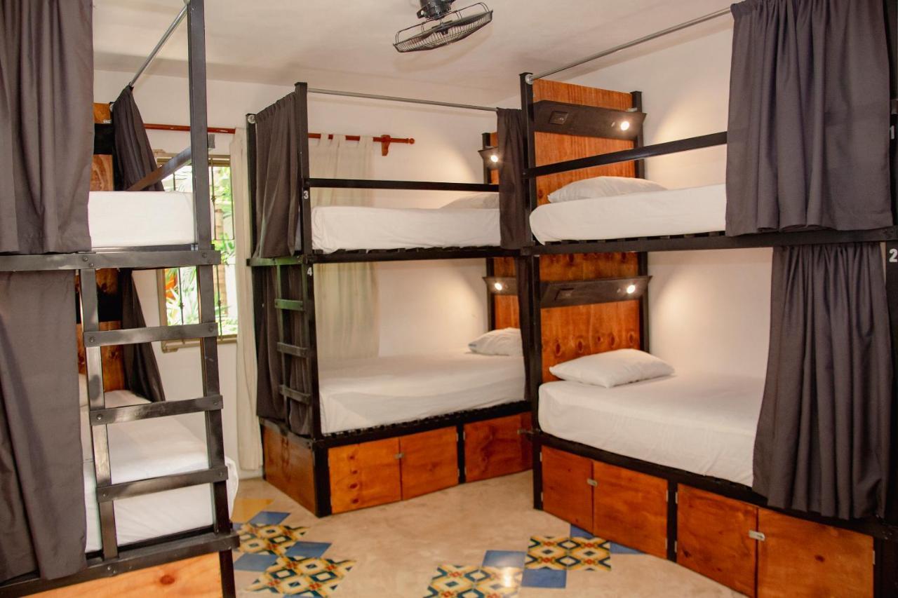 Bed in 8-Bed Mixed Dormitory Room,1325647942:JPEG