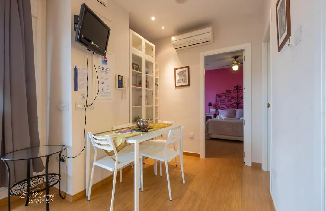 Apartamentos Mérida Center-1