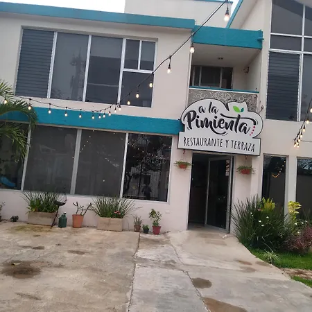 Jardín Mérida-2